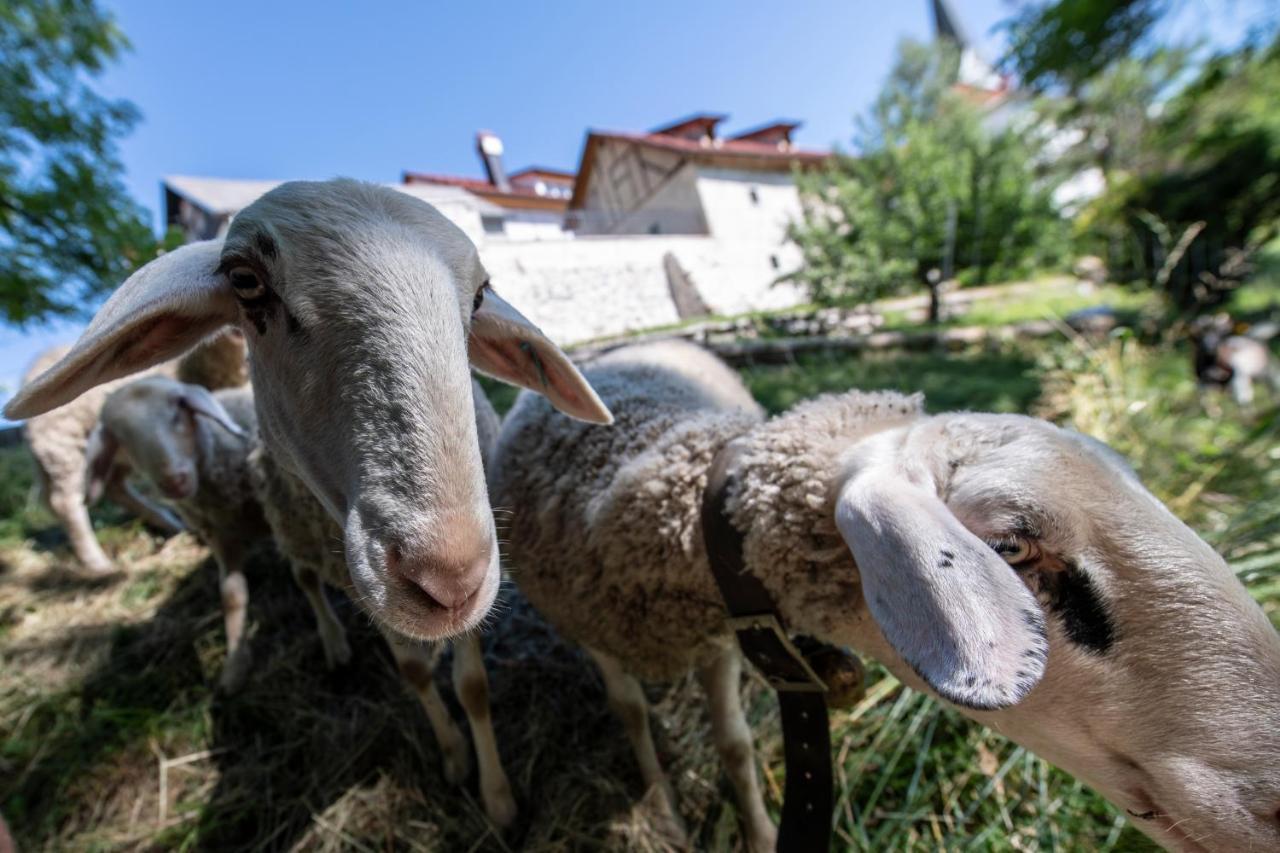 Ferienwohnung Meznarija Radovljica Exterior foto